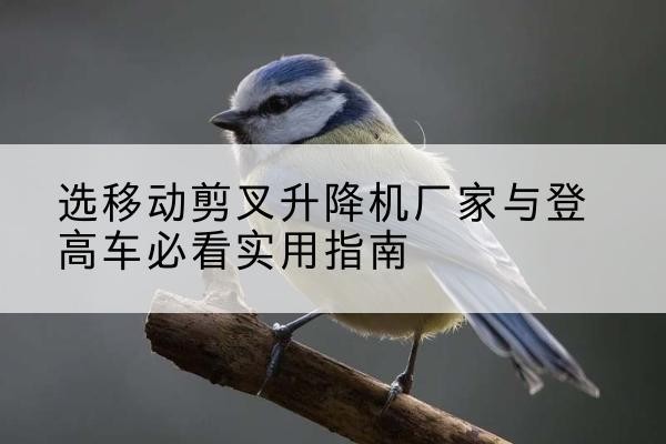 江孜电动升降机厂家-选移动剪叉升降机厂家与登高车必看实用指南