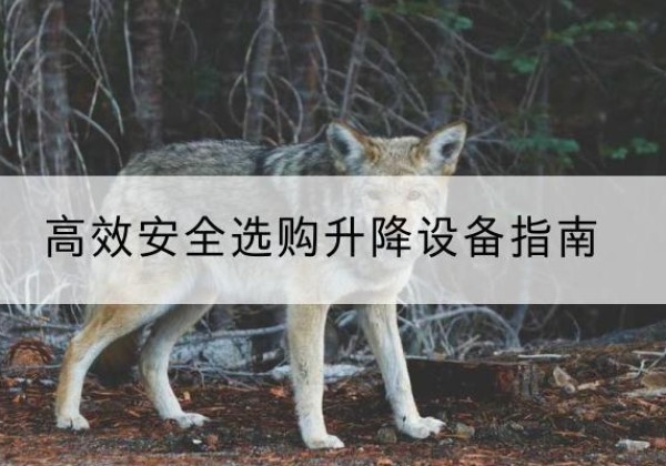 江孜升降货梯厂家推荐-*安全选购升降设备指南